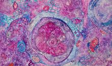 《微观战争》观后感