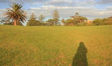 一缕晨光暖我心