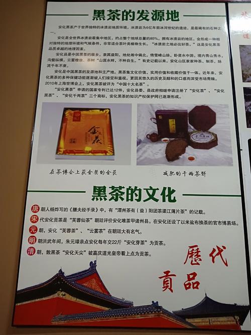 与家人同行