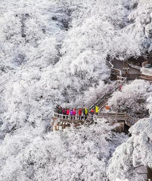 找到一个梦想安然