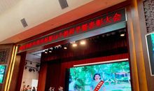 我渴望记忆停留