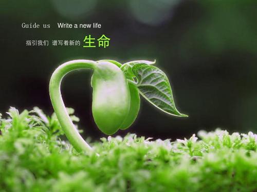 平凡的生活
