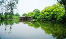 平淡生活有诗意