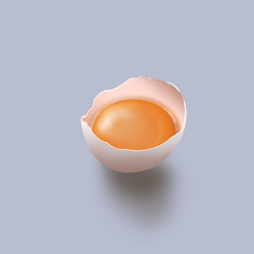 蛋壳