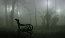 班级捉“鬼”记