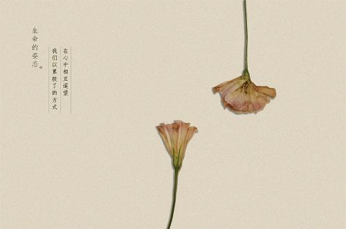 生活姿势