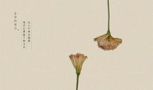 生命应有的姿态