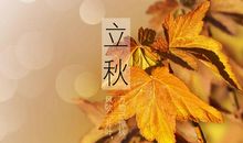 下个秋天，唯你不变