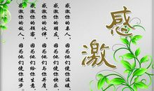 我的思维_600字