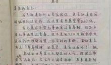 写给偶像的一封信