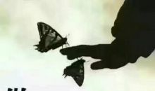 你决定了我的方向