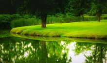 那天我与宽容相遇