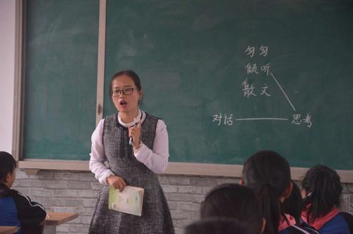 来来去去的壮老师