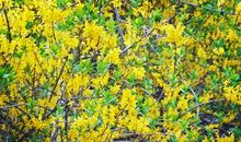 开在心中的春天