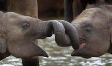 令人感动的温暖