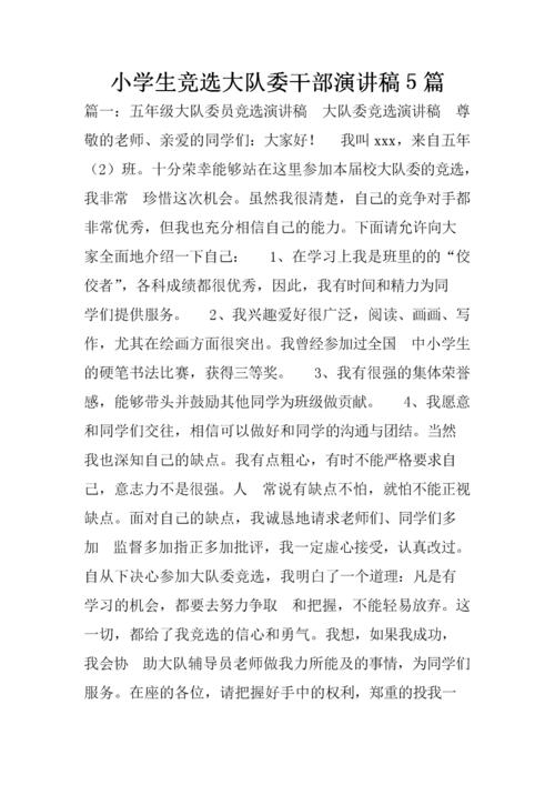 大队委员会选举演讲