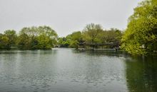 富有生机的家乡