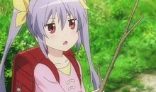 知识大王——“刘大师”