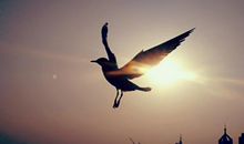 最失落的一句话