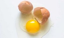 鸡蛋为什么握不碎