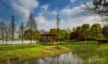 春天在公园里絮语