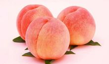 我爱故乡的桃子