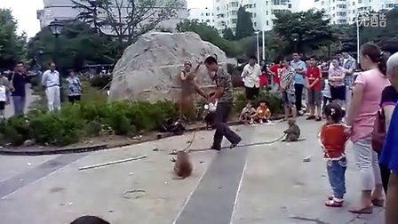 游马hao公园