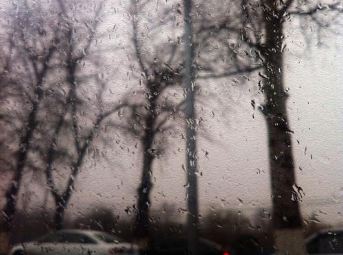 初雨