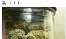 都是毒品惹的祸