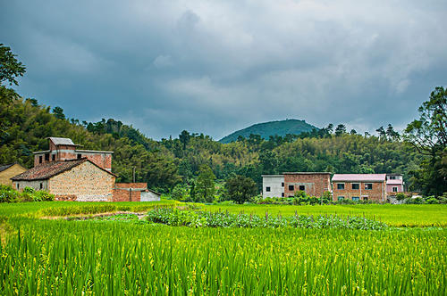秋天的田野
