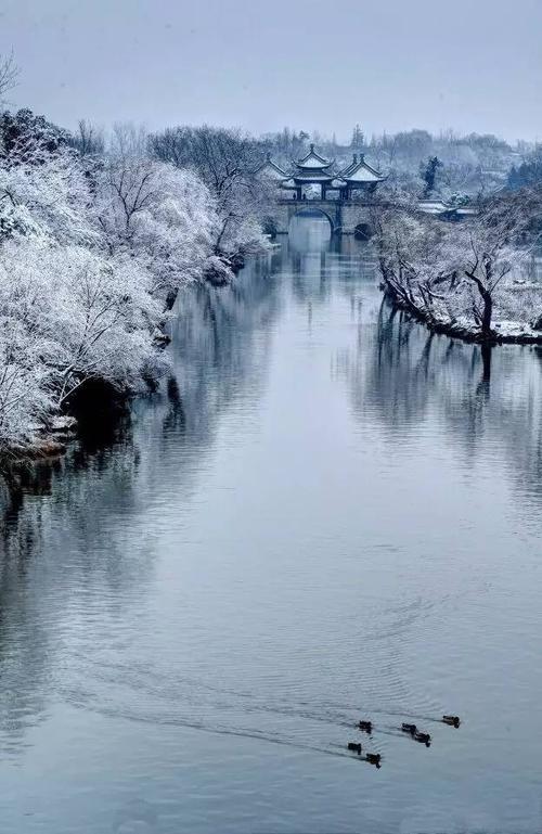 在雪中，美丽的风景