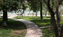 春天的滨江公园