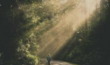 心系故乡，志在远方