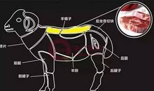 我是蝎子我怕谁