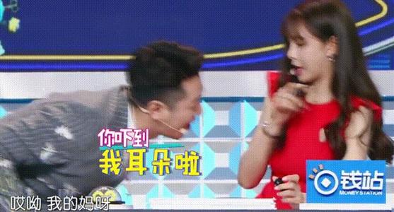 鸟儿呼唤我的梦想