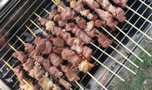 去森林公园烧烤