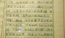 关于丢钱的作文