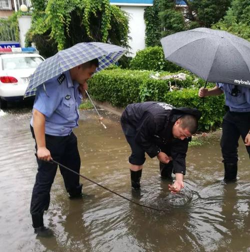 风雨中总有你