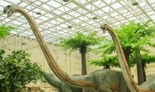 神奇奥秘的陕西自然博物馆