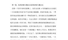 哈利·波特与魔法石读后感