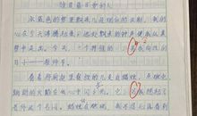 关于配角的作文