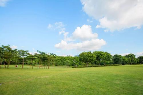 美丽的沙河公园