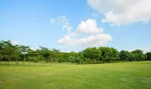 美丽的沙河公园