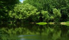 我的夏天我作主