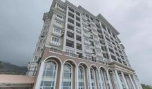 我的自由我做主