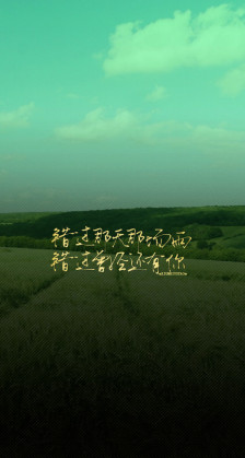我想念的美丽