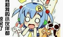 我可爱的小伙伴