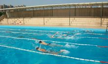 一次有趣的游泳比赛