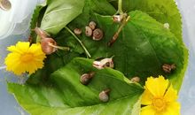 一次有趣的综合实践活动