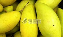 美味可口的芒果